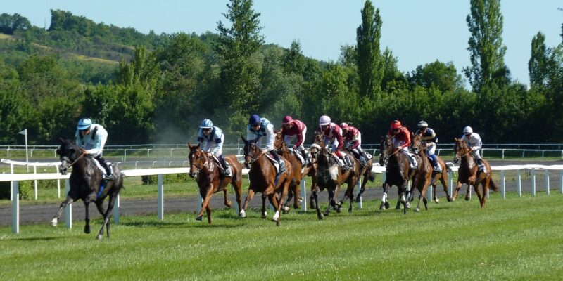 Quelles erreurs à ne pas faire dans les paris hippiques ?